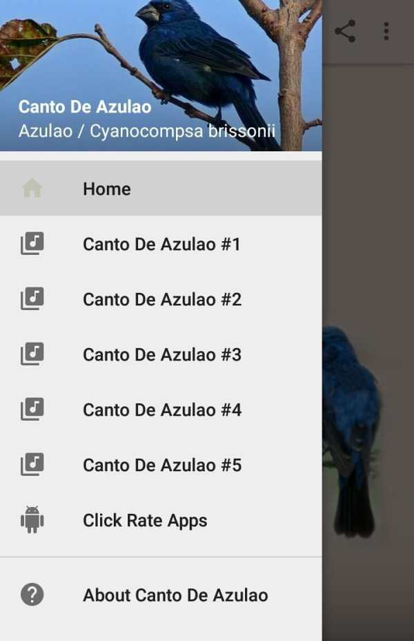 Canto De Azulao screenshot 1