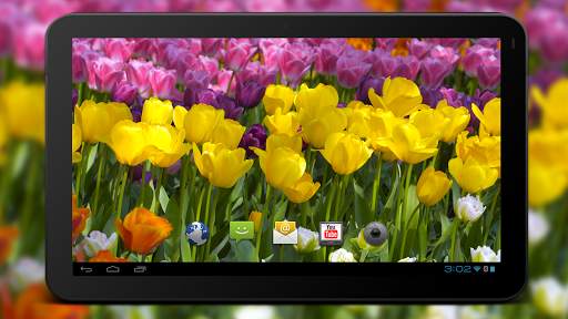 4K Flower Glade Video Live Wallpapers screenshot 6