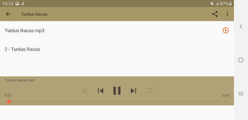 Song Thrush screenshot 11