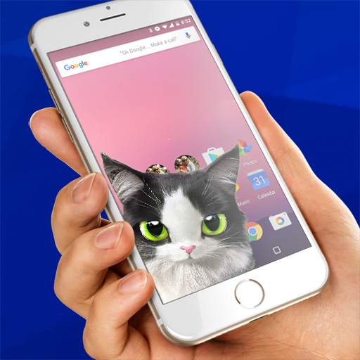 Cat inside phone prank 2.0