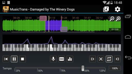 MusicTrans tool for musicians screenshot 1