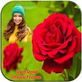 Red Rose Photo Frames 1.2