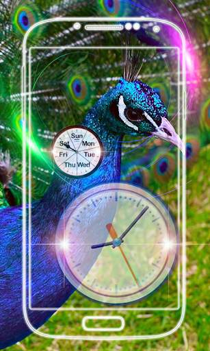Peacock Clock Live Wallpaper screenshot 7