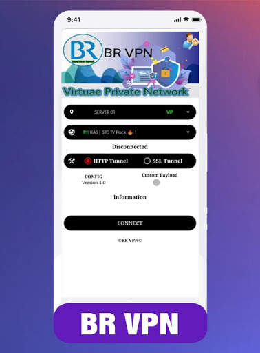 BR VPN screenshot 2