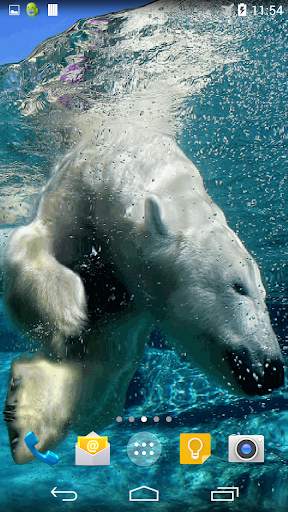 Polar Bear Live Wallpaper screenshot 1