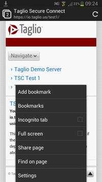 Taglio Secure Browser - Beta screenshot 3