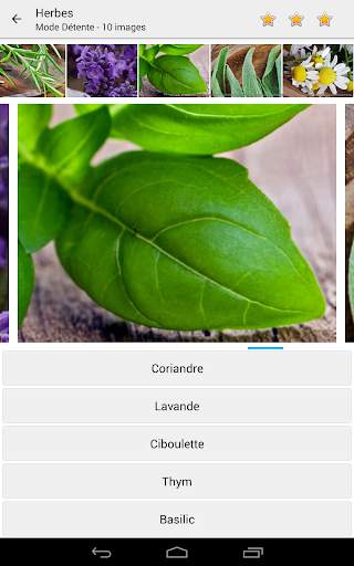 Photo Quiz - Devinez Photos screenshot 4