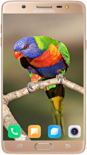 Bird Wallpaper Best HD स्क्रीनशॉट 10