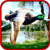 Sniper Duck Hunting icon