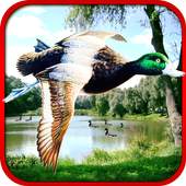 Sniper Duck Hunting 1.4