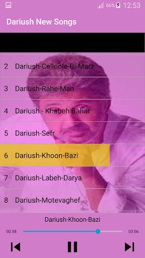 جديد اهنك داريوش بدون نت - Dariush New Music screenshot 4