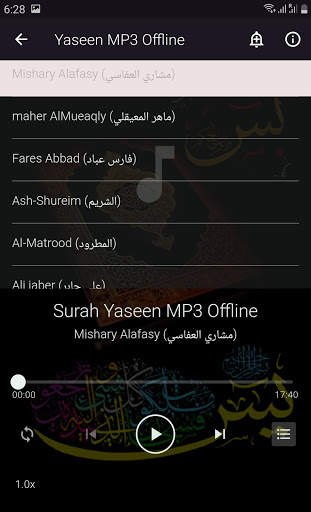 Yaseen MP3 Offline screenshot 2