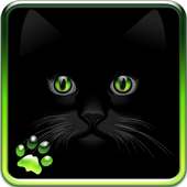 Cat Eyes