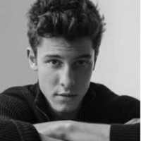 Shawn Mendes Songs logo