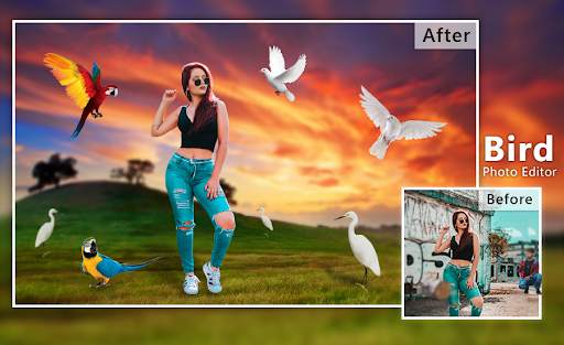 Bird photo editor : Birds Photo frame screenshot 4
