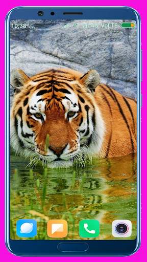 Tiger Wallpaper Best 4K screenshot 5