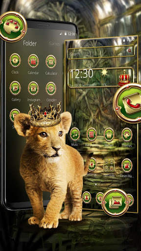Royal King Baby Lion Theme screenshot 2