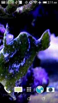 Fish Live Video Wallpaper screenshot 5
