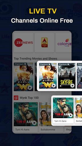 Indian Live TV Channels Free Online Guide screenshot 5