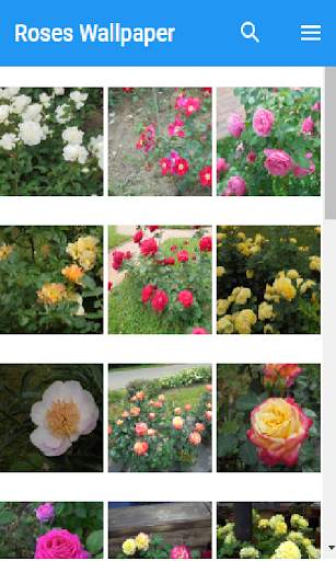 Roses Wallpaper screenshot 1