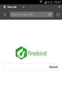 Firebird Browser Pro superFast screenshot 5