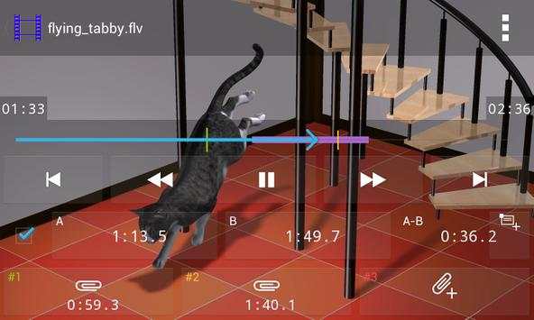 Video Marker screenshot 1