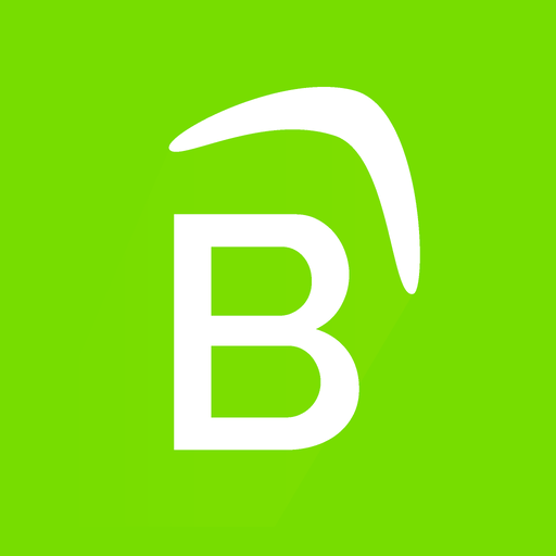 Boomerang Services icon