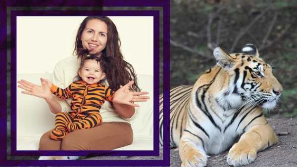 Tiger Frames For Photos screenshot 5