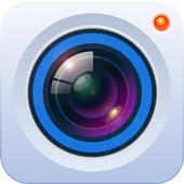 gDSS icon