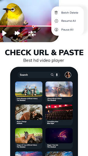 Crome Video Downloader - MP4 Video Downloder screenshot 6