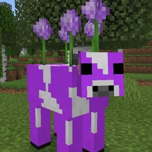 Mods for Minecraft PE. Download the mods here 2