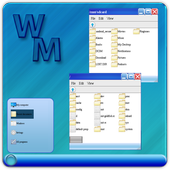 Windows File Manager icon