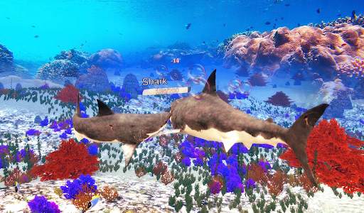 The Shark screenshot 15