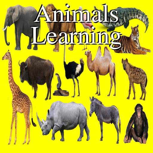 Animals Learning: Animals, Birds, Insects Images 1.4.51