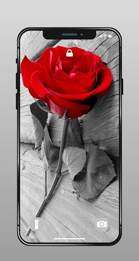 ✿ HD Flowers Wallpaper - 4K Beautiful Flowers screenshot 8