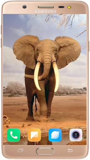 Elephant Wallpaper Best HD screenshot 6