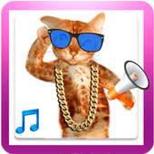 Funny Cat Sounds