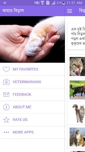Amar Cat screenshot 6