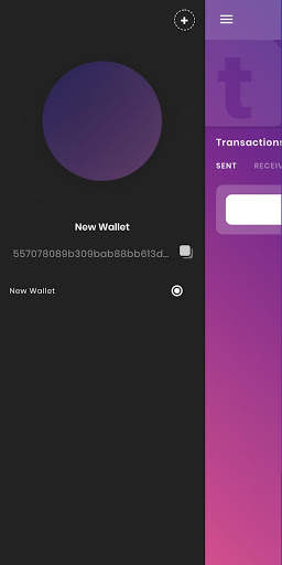 Dispatch Mobile Wallet screenshot 2