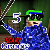 Pixel granny 1.0