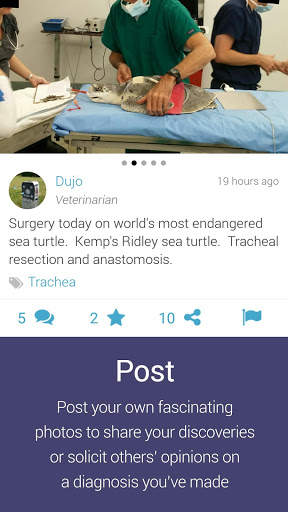 ViralVet - Veterinary Cases screenshot 2