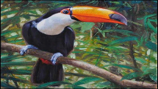 Tukan Bird HD Wallpaper screenshot 1