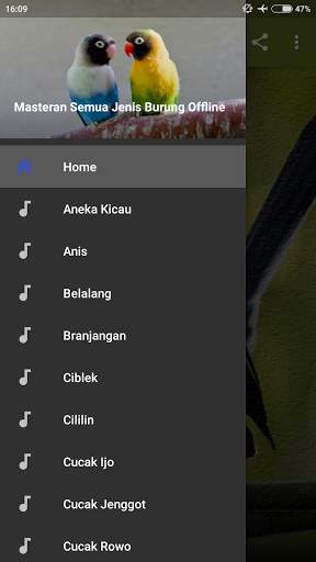Masteran Semua Jenis Burung Offline screenshot 6