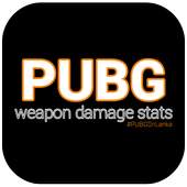 PUBG Weapon damage stats 1.0.0