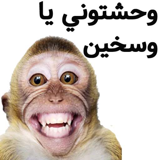 funny arabic stickers for WAStickerApps 2020 screenshot 1