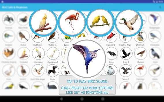 Bird Sounds & Ringtones screenshot 6