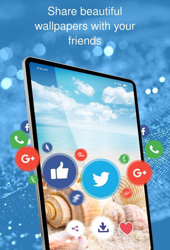 Wallpapers with shells screenshot 10