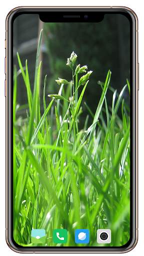HD Grass Wallpaper screenshot 4