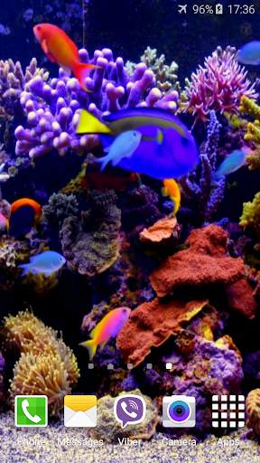 Aquarium 4K Video Wallpaper screenshot 5