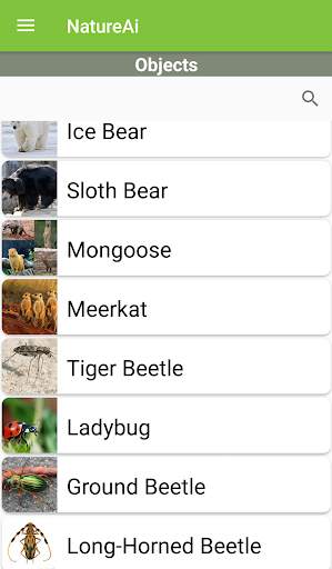 Nature Identification - Birds, Animals & Fish स्क्रीनशॉट 4